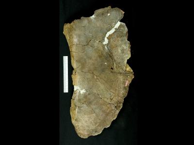 https://files.geocollections.info/large/bf/53/bf537fb9-fa5b-4835-8a4f-c8b33d5bb993.jpg