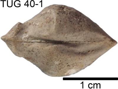 https://files.geocollections.info/large/bf/ed/bfedf22a-a7d5-4d8f-9ca2-cb8773bd0963.jpg