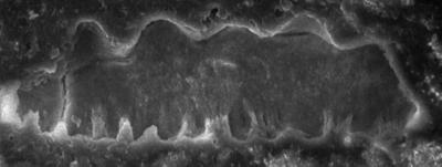 https://files.geocollections.info/large/c0/b8/c0b8d143-cef3-445c-8c76-1dd7a01eab4d.jpg