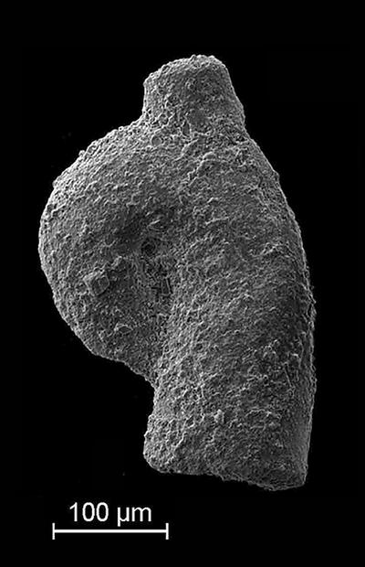 https://files.geocollections.info/large/c2/18/c2188adc-d571-454a-8763-3ff79a252459.jpg