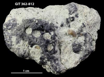 <i></i><br />Harku quarry,  m, Volkhov Stage