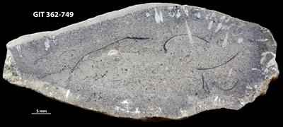 <i></i><br />Ohesaare cliff,  m, Ohesaare Stage