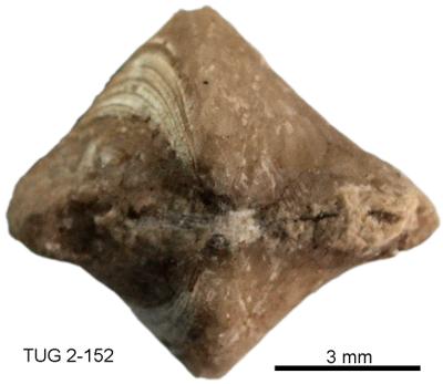 https://files.geocollections.info/large/c2/74/c274362b-a851-47c3-966a-bbb4781dd8d1.jpg