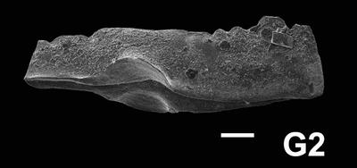 https://files.geocollections.info/large/c2/88/c2887718-b7ab-4902-ad1b-1446e2524b10.jpg