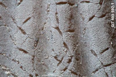 <i></i><br />Ohesaare cliff,  m, Ohesaare Stage