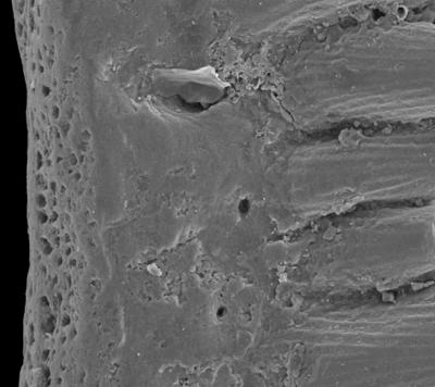 https://files.geocollections.info/large/c2/e1/c2e160bd-a334-4bc7-852e-8e5a906b85c5.jpg