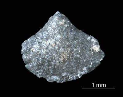 https://files.geocollections.info/large/c2/ed/c2ed2426-dbe5-49ff-a643-20d3d1d2dd92.jpg