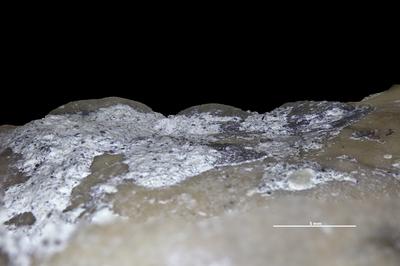 https://files.geocollections.info/large/c3/83/c3834c26-56e1-45a9-abf4-6517994911d3.jpg
