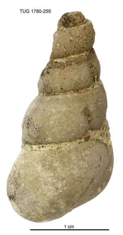 https://files.geocollections.info/large/c4/2a/c42adf4f-e0b7-402a-acbd-bd9a98144d7d.jpg