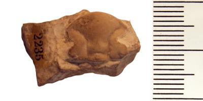 https://files.geocollections.info/large/c4/5c/c45c22dc-bee2-459a-aa82-aa139e24e091.jpg