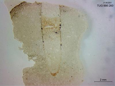 <i></i><br />Keila River, upstream of the waterfall,  m, 