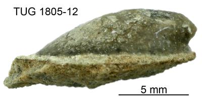 https://files.geocollections.info/large/c4/c8/c4c8f0b9-5201-4632-b81f-27b2cbc2f1ec.jpg