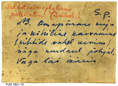 https://files.geocollections.info/large/c5/66/c5660343-1af6-4180-95c0-03f1e581e5db.jpg