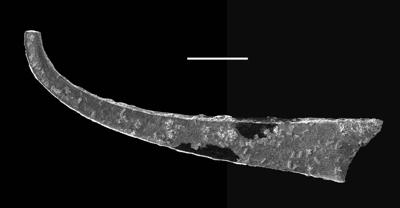https://files.geocollections.info/large/c5/76/c576fee3-3b97-4c4e-8c94-60041becebd7.jpg