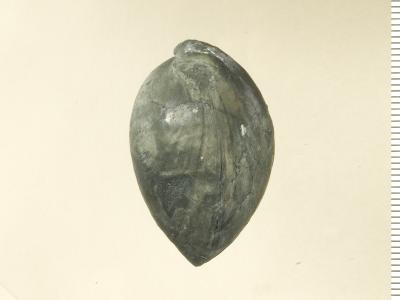 https://files.geocollections.info/large/c5/a4/c5a469cf-d274-4b3b-a4a8-d1ae3356c700.jpg