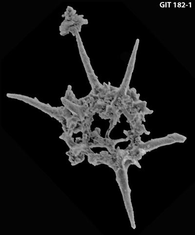https://files.geocollections.info/large/c6/61/c66116c3-f29a-45c2-98e9-4619b4ce963d.jpg