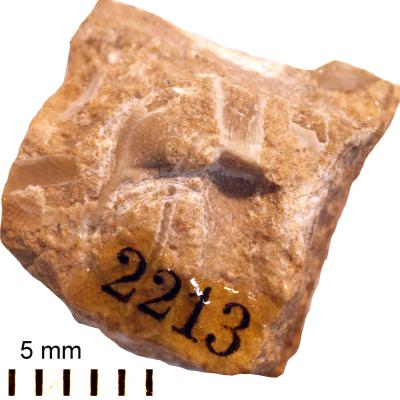 https://files.geocollections.info/large/c6/80/c680a7a8-8b73-46cf-8ed2-73c5454e8168.jpg
