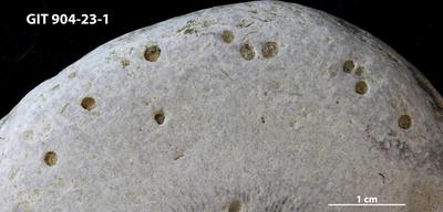 <i></i><br />Rööpli Cliff, Kõinastu,  m, Adavere Stage