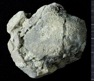 https://files.geocollections.info/large/c7/73/c7738538-f385-494e-be83-52a5dd201f64.jpg