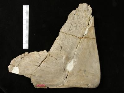 https://files.geocollections.info/large/c7/74/c774ed63-0777-4709-80c1-57c6bc8333a0.jpg