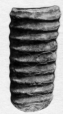 https://files.geocollections.info/large/c7/a6/c7a62646-4dc2-490b-9955-43d3c7b9f4bc.jpg