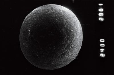 <i><i>Chitinozoa</i></i><br />Ohesaare borehole, 349.40 m, Adavere Stage (754-881)