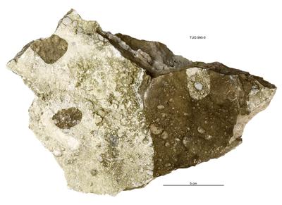 https://files.geocollections.info/large/c7/fb/c7fb35b0-fcd1-4542-9ef3-6329fa5bdb9f.jpg