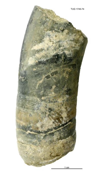 https://files.geocollections.info/large/c8/2e/c82e7320-9ca2-4b4c-a11d-4b02134391c6.jpg