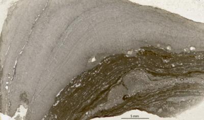 https://files.geocollections.info/large/c8/3c/c83cf741-e759-40ca-a9ad-300ca9fee1e2.jpg