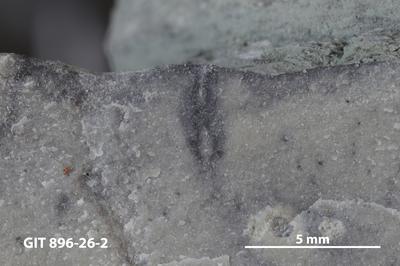 <i></i><br />Reinu Quarry,  m, Juuru Stage