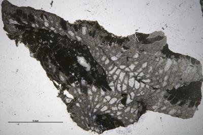 https://files.geocollections.info/large/c9/0a/c90a8c83-ce5e-4d05-8bd3-4676330a363d.jpg
