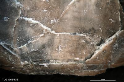 https://files.geocollections.info/large/c9/67/c9671163-f966-48a5-9aa4-a5921ac05ab8.jpg