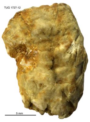 https://files.geocollections.info/large/c9/c7/c9c74788-bc3f-422b-a77f-cca90bb08398.jpg