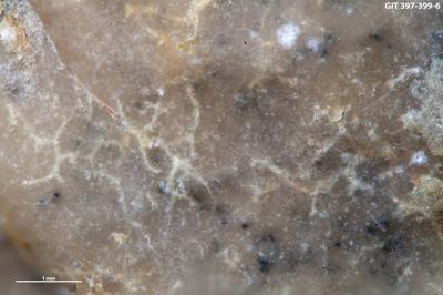 <i></i><br />Kesselaid,  m, Adavere Stage