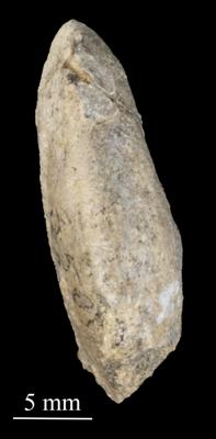 https://files.geocollections.info/large/ca/38/ca38abc7-6cab-4c9e-85f0-674b83e7a545.jpg