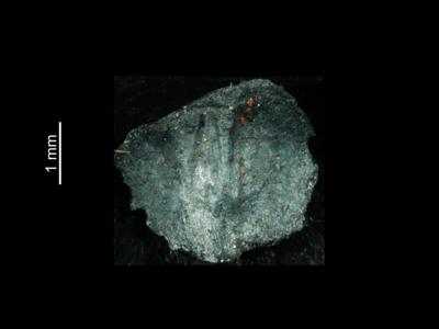 https://files.geocollections.info/large/cb/67/cb67117d-6355-442d-ba65-16b2a8f4ed24.jpg
