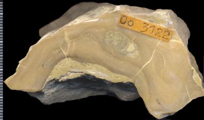 https://files.geocollections.info/large/cb/7c/cb7cdd90-5e8f-4c2d-8745-2265be85bb50.jpg