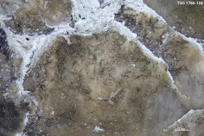 https://files.geocollections.info/large/cb/e4/cbe4a501-2081-499a-85da-d5c17e0426e1.jpg