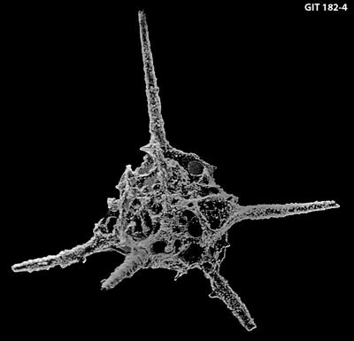 https://files.geocollections.info/large/cc/32/cc3260a5-82a0-49a7-95d6-112940ce5a2f.jpg