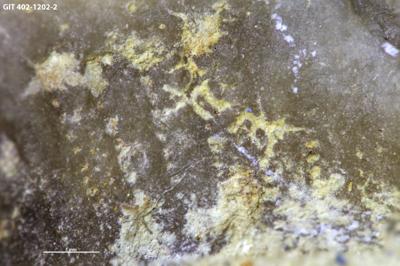 <i></i><br />Ilpla alvar,  m, Kuressaare Stage