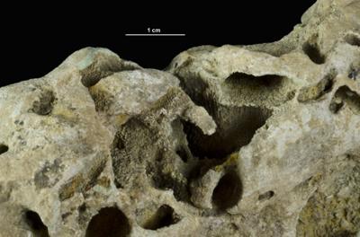 <i></i><br />Hirmuse creek outcrop,  m, Haljala Stage