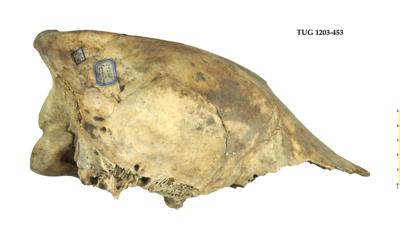 https://files.geocollections.info/large/cc/ef/ccef139a-1635-4337-a78a-5c3daa18572d.jpg