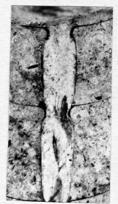 https://files.geocollections.info/large/cd/11/cd11ed85-678c-480f-bfa5-cf02b1f9c180.jpg