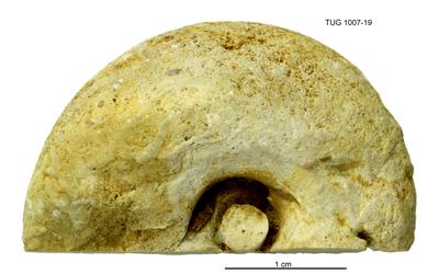 https://files.geocollections.info/large/cd/2c/cd2cd1bb-38aa-4e04-8f46-4616b53c0c83.jpg
