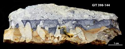 <i></i><br />Valgu River scarplet and trench,  m, Adavere Stage