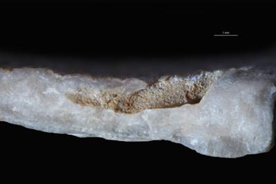 <i></i><br />Kohtla,  m, Kukruse Stage