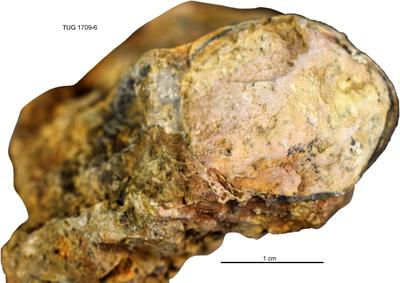 https://files.geocollections.info/large/cf/48/cf4892a7-b2a6-4f6c-967d-f0a3c2260548.jpg