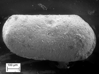 https://files.geocollections.info/large/d0/72/d0728226-29d8-4505-a29e-ec4168aa3fc6.jpg