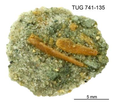 https://files.geocollections.info/large/d0/a2/d0a234f5-40aa-4bf5-8b76-e23cea65bdad.jpg