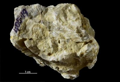 <i></i><br />Äigu alvar,  m, Kaugatuma Stage